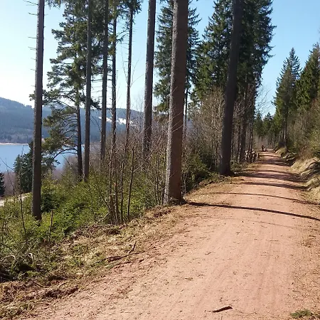 Schiff Am فندق 3*