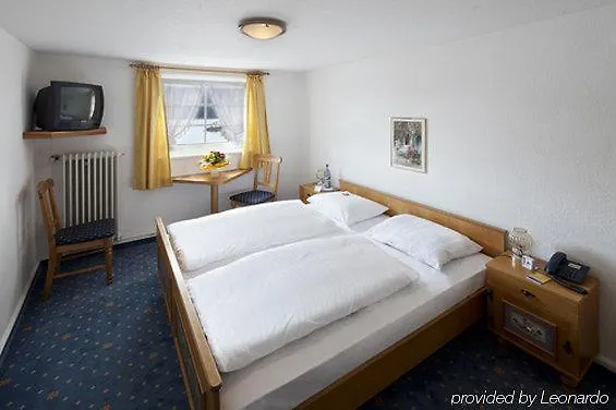 Schiff Am Hotel Schluchsee